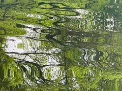 -荔湾湖公园