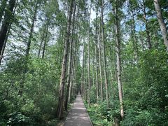 -同里国家湿地公园