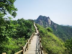 -大岭沟猕猴桃谷风景区