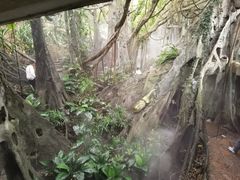 -青青世界