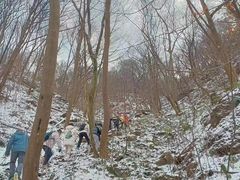 -紫金山山顶公园