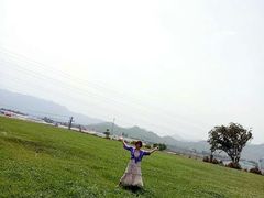 -君乐宝优致牧场