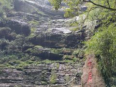-碧峰峡风景区