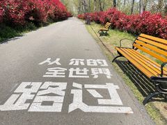 -扬州天乐湖嬉乐谷