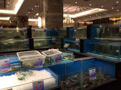 水产区-大铁勺新津菜(东丽阳光新业广场店)