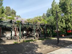 -北京市劳动人民文化宫(太庙)