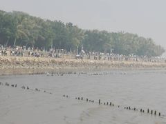 -深圳湾公园(南山区)