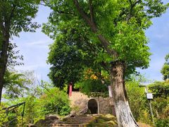 -莫干山风景区