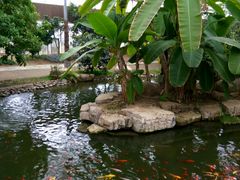 -南通洲际绿博园