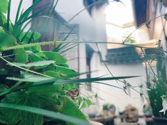 -月栖华明-云间草堂清茶馆(泗泾古镇店)