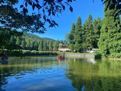 -武陵山森林公园