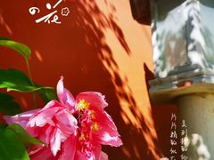 -北京石刻艺术博物馆(五塔寺)