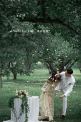 点击看大图 -巴黎春天·菀纱仙庭婚纱美学