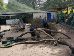 -苏州上方山国家森林公园