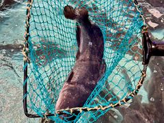 -鱼痴渔醉·食鲜集(汉口江滩店)