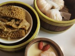 -东方早茶 海鲜•青岛菜(国信体育中心店)