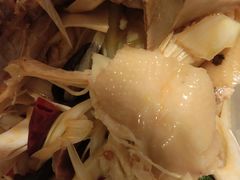 -董小西的凉皮和椒麻鸡(三元桥店)