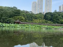 -龙头寺公园