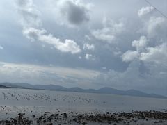 -汕尾风车岛