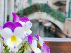 -华谊兄弟（长沙）电影小镇