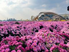 -中国天府农业博览园