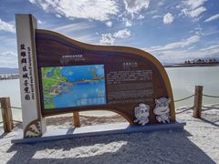 -茶卡盐湖