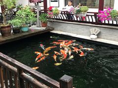 -华庭苑农家乐(旺山店)