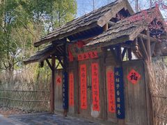 -东平国家森林公园