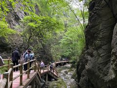 -牛背梁国家森林公园