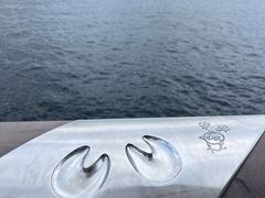 -星光大道