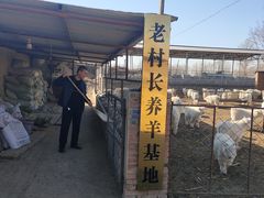 -老村长铁锅宴(航才路店)