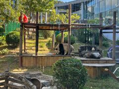 -大连森林动物园