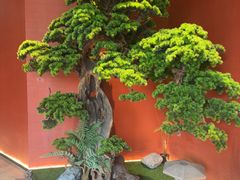 -阿伟海鲜楼·福建菜(延寿店)