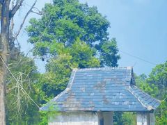 -汉艺唐风茶艺培训(联发华美空间店)