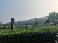 -听风阁农家私房菜茶楼(龙坞店)