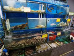 水产区-蚝专家(北滘店)