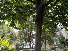 -广州神农草堂中医药博物馆
