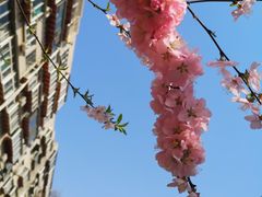-山东师范大学(千佛山校区)