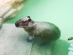 -珠海长隆海洋王国