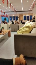 -Yestar 嘉兴艺星医疗美容医院