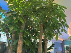 -桂满陇·杭州饭店(清河万象店)