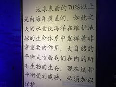-大连圣亚海洋世界