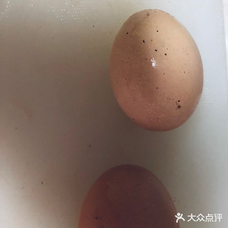 正能量部队汤