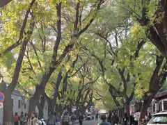 -北京国子监胡同