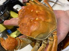 -品鲜村农家菜·阳澄湖大闸蟹(总店)