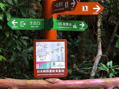 -海南热带雨林国家公园吊罗山景区