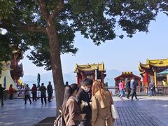 -西湖游船