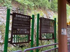 -栾川竹海野生动物园