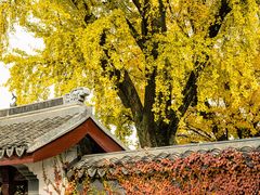 -惠山古镇·寄畅园