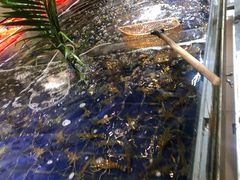 -79号渔船海鲜饭店(华强北店)